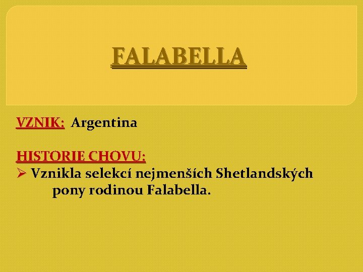 FALABELLA VZNIK: Argentina HISTORIE CHOVU: Ø Vznikla selekcí nejmenších Shetlandských pony rodinou Falabella. 