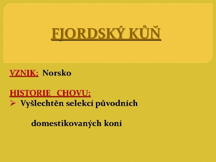 FJORDSKÝ KŮŇ VZNIK: Norsko HISTORIE CHOVU: Ø Vyšlechtěn selekcí původních domestikovaných koní 