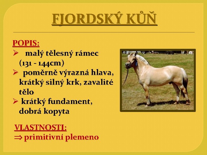 FJORDSKÝ KŮŇ POPIS: Ø malý tělesný rámec (131 - 144 cm) Ø poměrně výrazná