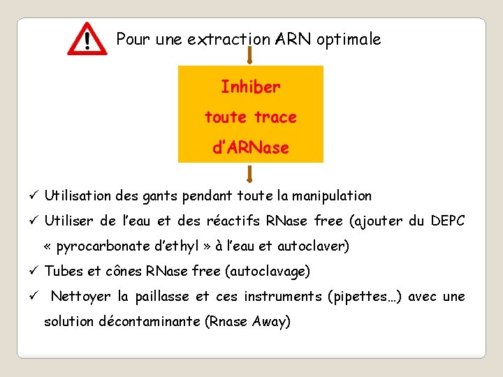 Pour une extraction ARN optimale Inhiber toute trace d’ARNase ü Utilisation des gants pendant