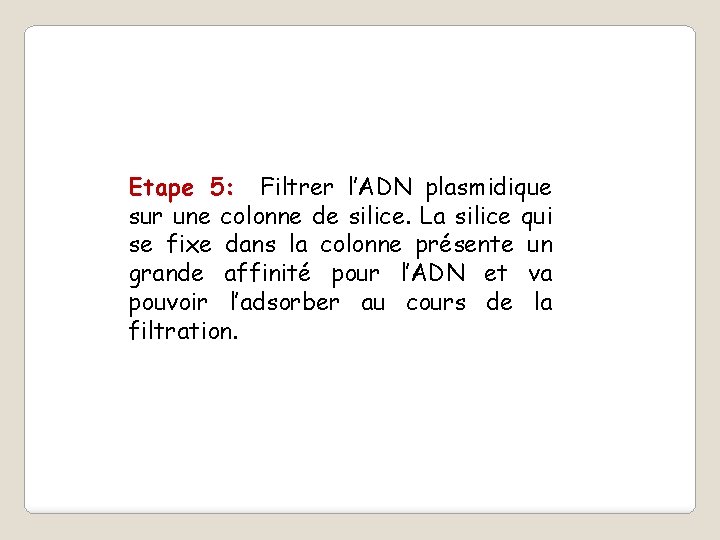 Etape 5: Filtrer l’ADN plasmidique sur une colonne de silice. La silice qui se