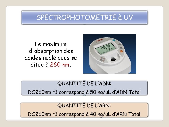 Le maximum d'absorption des acides nucléiques se situe à 260 nm. 