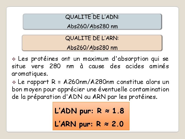 Les protéines ont un maximum d'absorption qui se situe vers 280 nm à cause