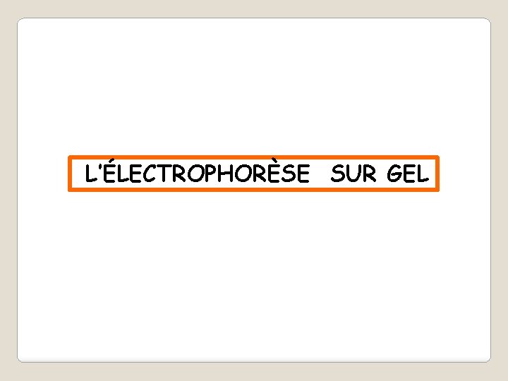 L’ÉLECTROPHORÈSE SUR GEL 