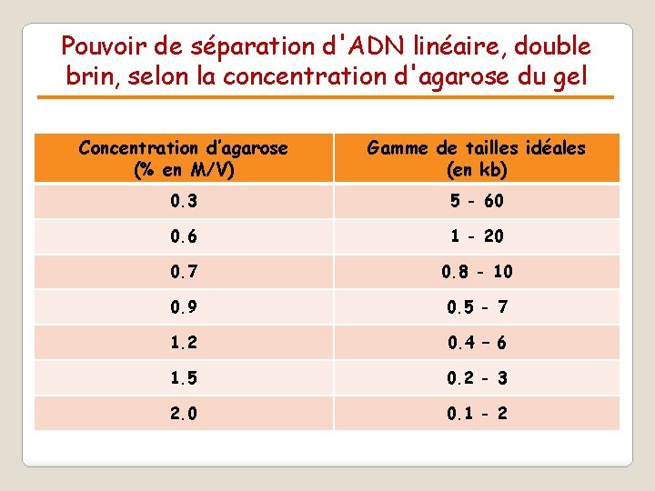 Pouvoir de séparation d'ADN linéaire, double brin, selon la concentration d'agarose du gel Concentration