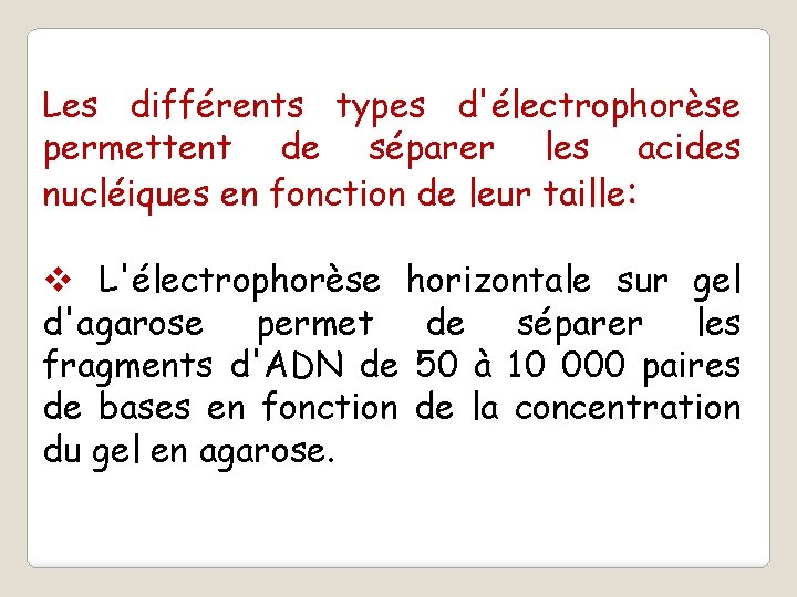 Les différents types d'électrophorèse permettent de séparer les acides nucléiques en fonction de leur