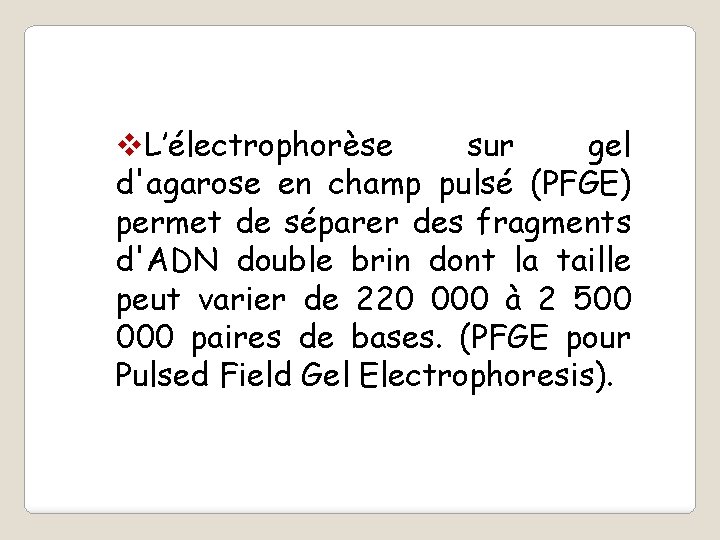 v. L’électrophorèse sur gel d'agarose en champ pulsé (PFGE) permet de séparer des fragments