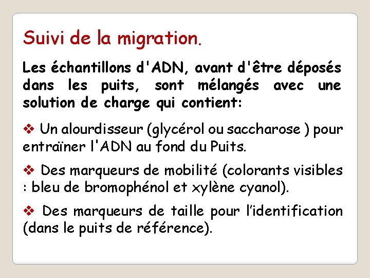 Suivi de la migration. Les échantillons d'ADN, avant d'être déposés dans les puits, sont