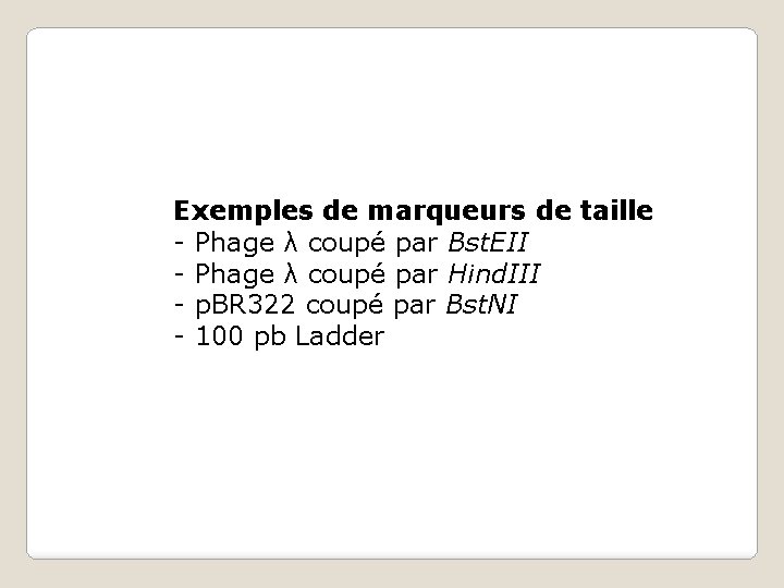 Exemples de marqueurs de taille - Phage λ coupé par Bst. EII - Phage