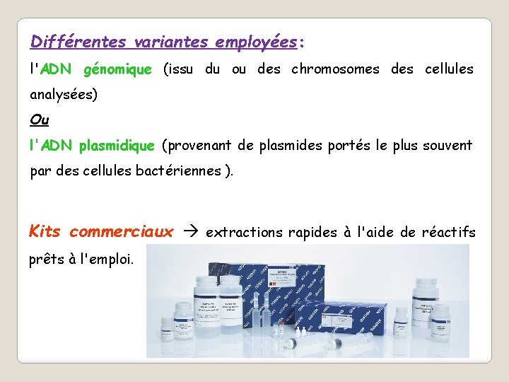 Différentes variantes employées: l'ADN génomique (issu du ou des chromosomes des cellules analysées) Ou