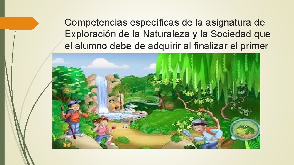 Competencias específicas de la asignatura de Exploración de la Naturaleza y la Sociedad que