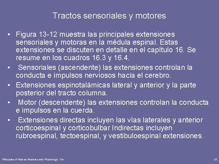 Tractos sensoriales y motores • Figura 13 -12 muestra las principales extensiones sensoriales y