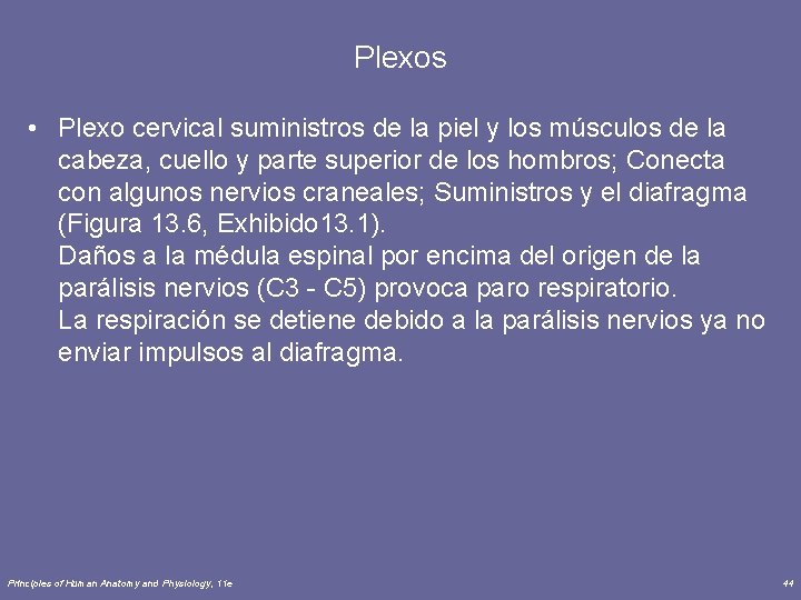 Plexos • Plexo cervical suministros de la piel y los músculos de la cabeza,