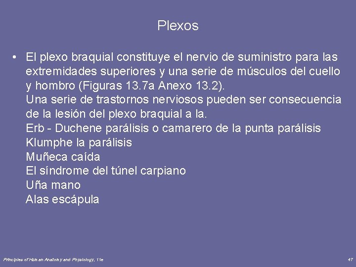 Plexos • El plexo braquial constituye el nervio de suministro para las extremidades superiores