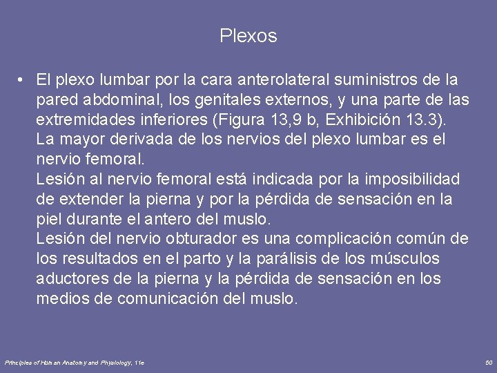 Plexos • El plexo lumbar por la cara anterolateral suministros de la pared abdominal,