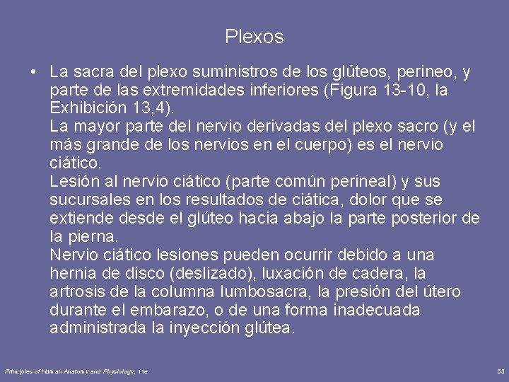 Plexos • La sacra del plexo suministros de los glúteos, perineo, y parte de
