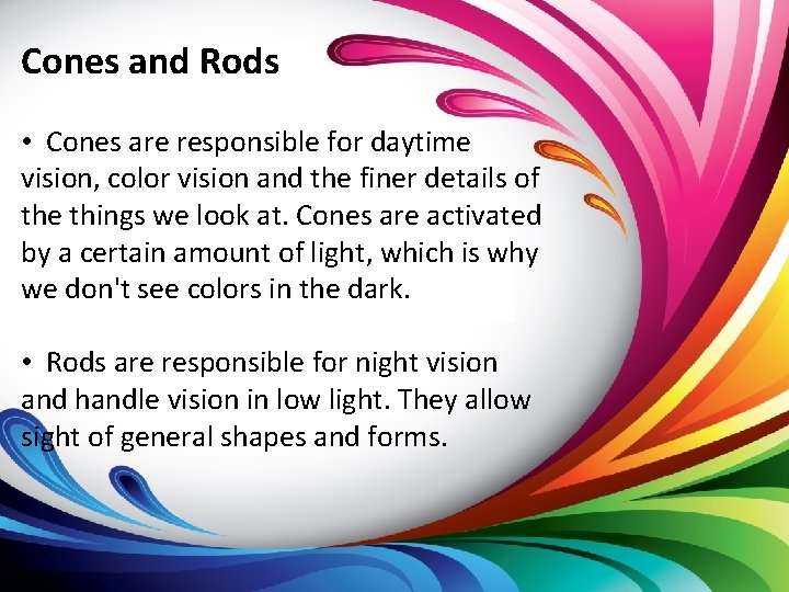 Cones and Rods • Cones are responsible for daytime vision, color vision and the