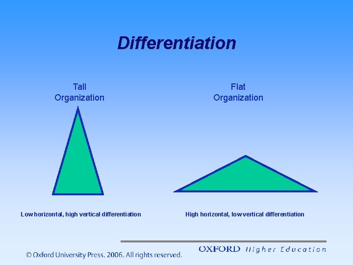 Differentiation Tall Organization Low horizontal, high vertical differentiation Flat Organization High horizontal, low vertical Differentiation Tall Organization Low horizontal, high vertical differentiation Flat Organization High horizontal, low vertical