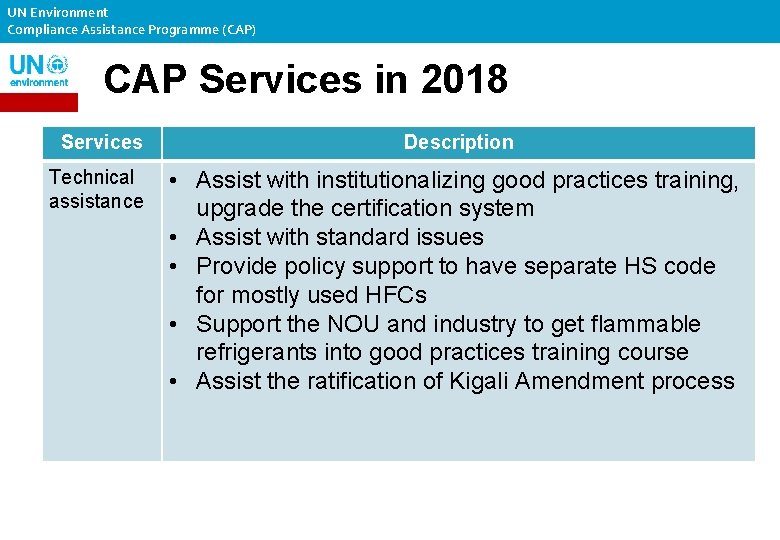 UN Environment Compliance Assistance Programme (CAP) CAP Services in 2018 Services Description Technical assistance