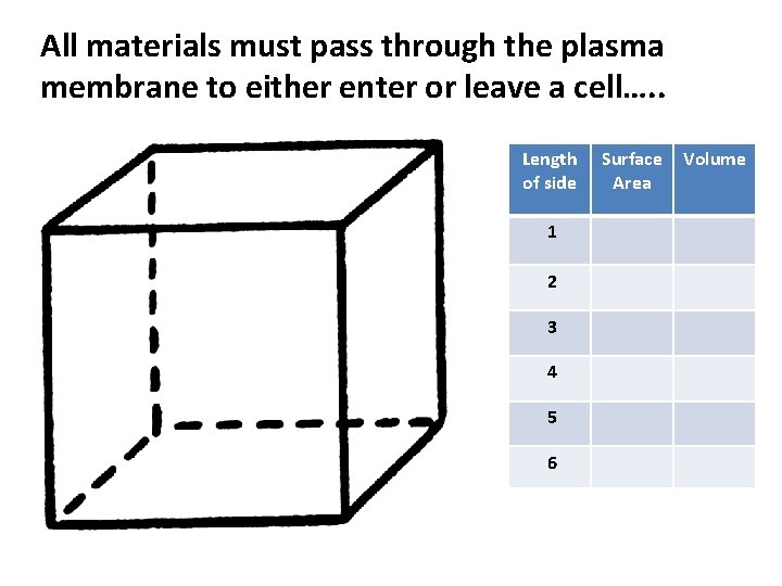All materials must pass through the plasma membrane to either enter or leave a