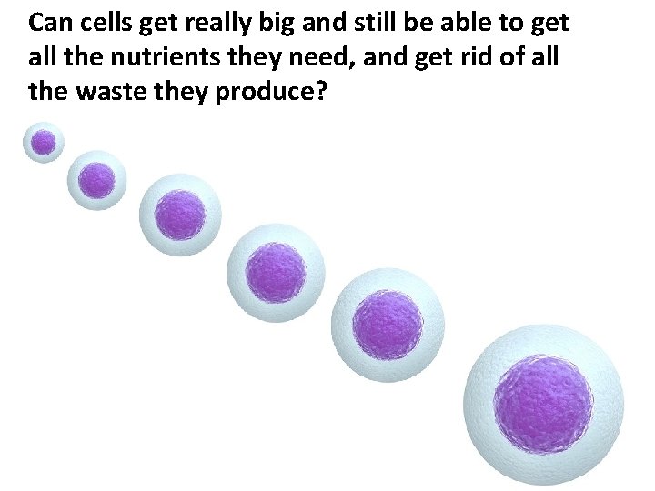 Can cells get really big and still be able to get all the nutrients