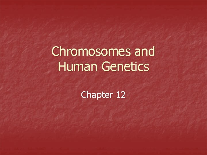 Chromosomes and Human Genetics Chapter 12 