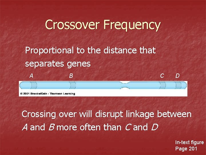 Crossover Frequency Proportional to the distance that separates genes A B C D Crossing