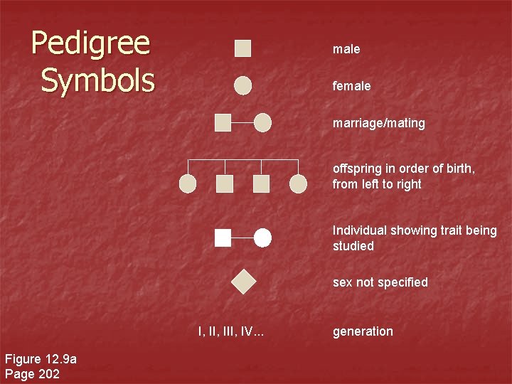 Pedigree Symbols male female marriage/mating offspring in order of birth, from left to right