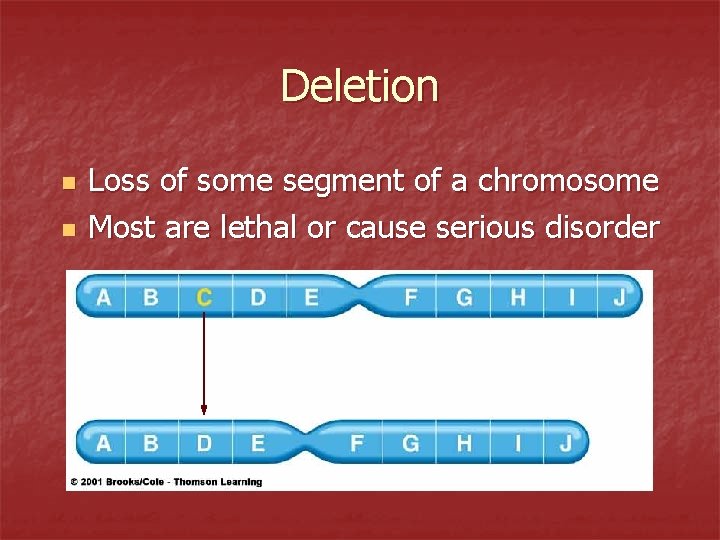 Deletion n n Loss of some segment of a chromosome Most are lethal or