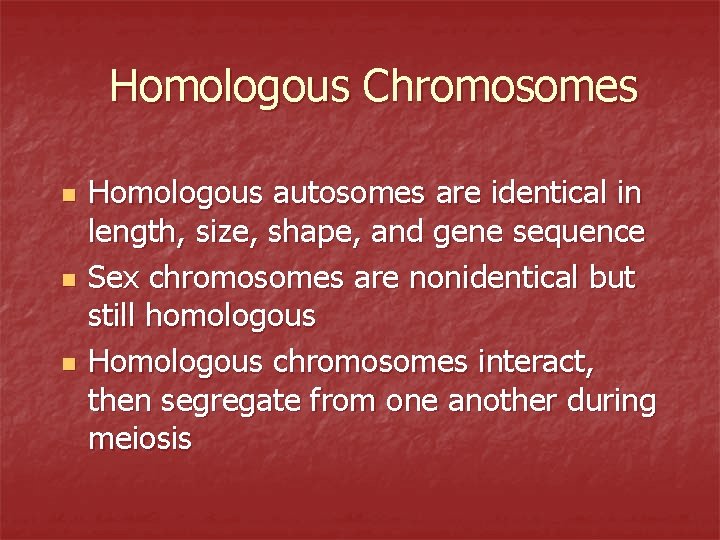 Homologous Chromosomes n n n Homologous autosomes are identical in length, size, shape, and