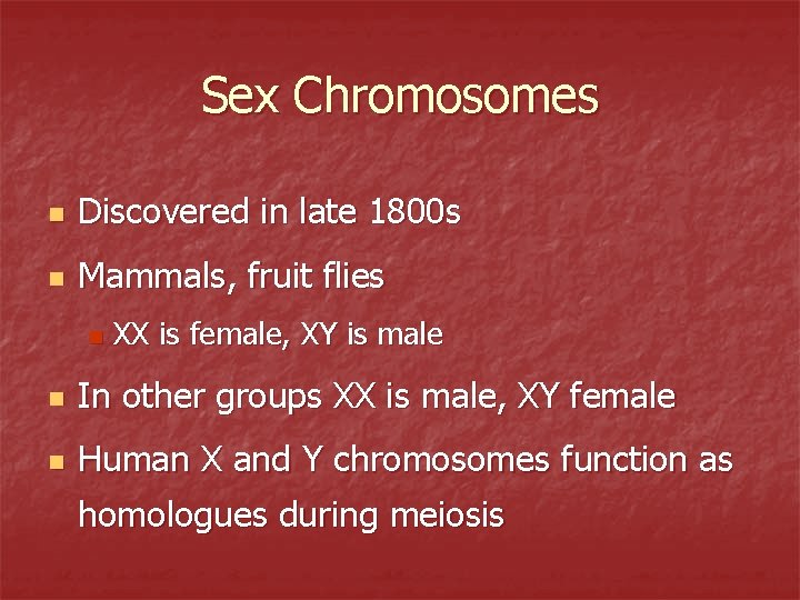 Sex Chromosomes n Discovered in late 1800 s n Mammals, fruit flies n XX