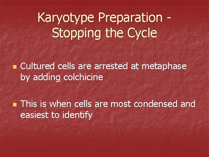 Karyotype Preparation Stopping the Cycle n n Cultured cells are arrested at metaphase by