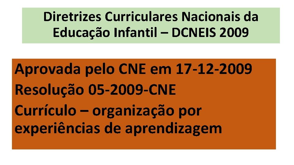 Diretrizes Curriculares Nacionais da Educação Infantil – DCNEIS 2009 Aprovada pelo CNE em 17