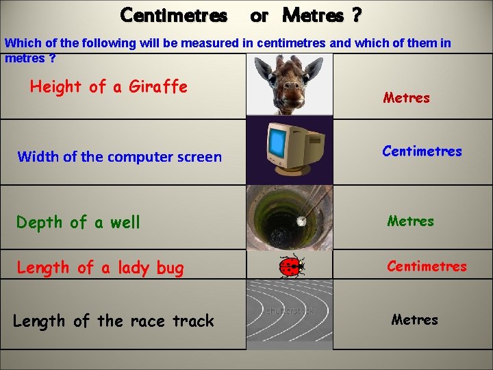 Centimetres or Metres ? Which of the following will be measured in centimetres and