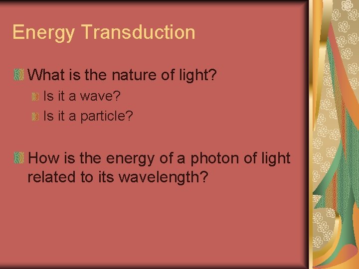 Energy Transduction What is the nature of light? Is it a wave? Is it