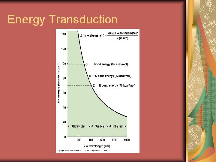 Energy Transduction 