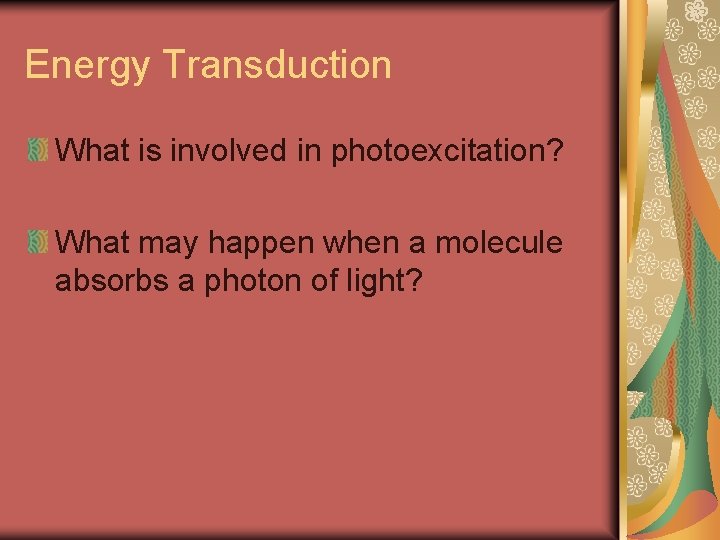 Energy Transduction What is involved in photoexcitation? What may happen when a molecule absorbs