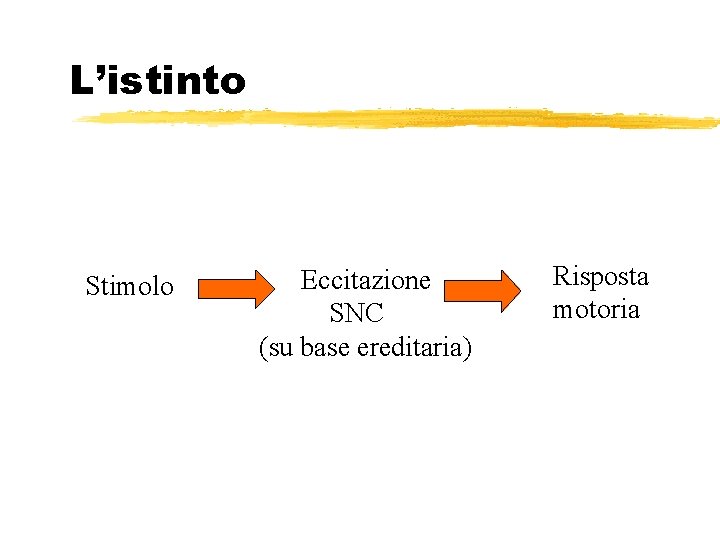 L’istinto Stimolo Eccitazione SNC (su base ereditaria) Risposta motoria 