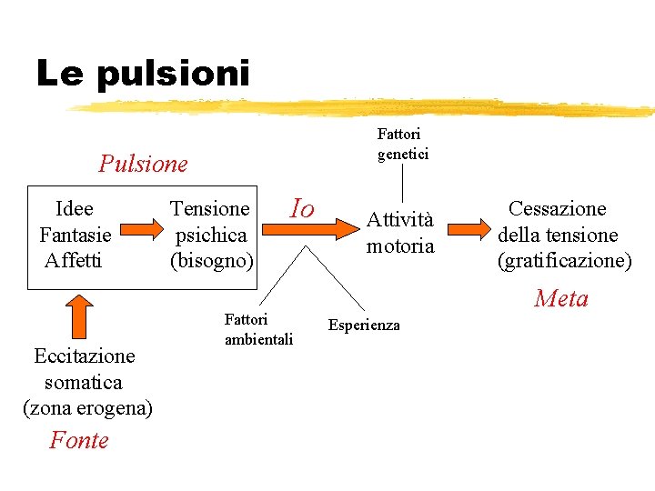 Le pulsioni Fattori genetici Pulsione Idee Fantasie Affetti Eccitazione somatica (zona erogena) Fonte Tensione