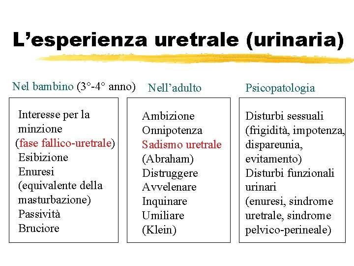 L’esperienza uretrale (urinaria) Nel bambino (3°-4° anno) Interesse per la minzione (fase fallico-uretrale) Esibizione