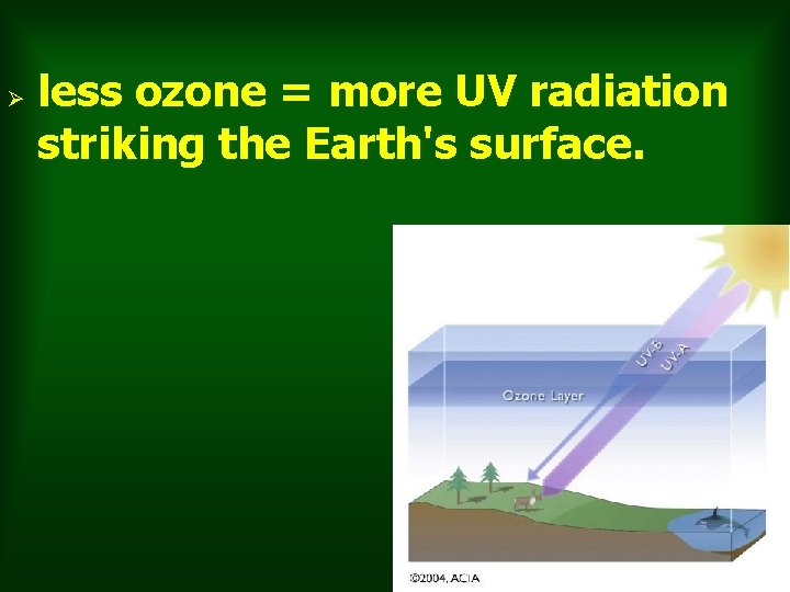 Ø less ozone = more UV radiation striking the Earth's surface. 11 