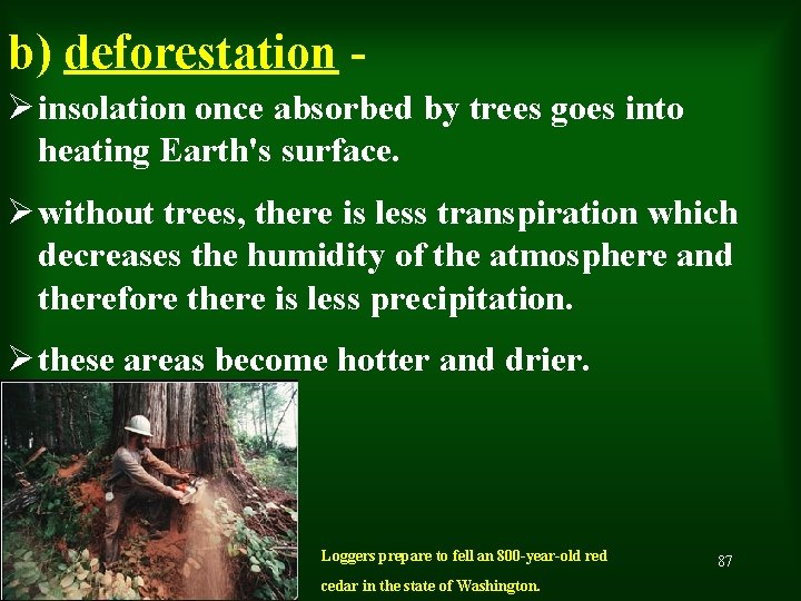 b) deforestation Ø insolation once absorbed by trees goes into heating Earth's surface. Ø