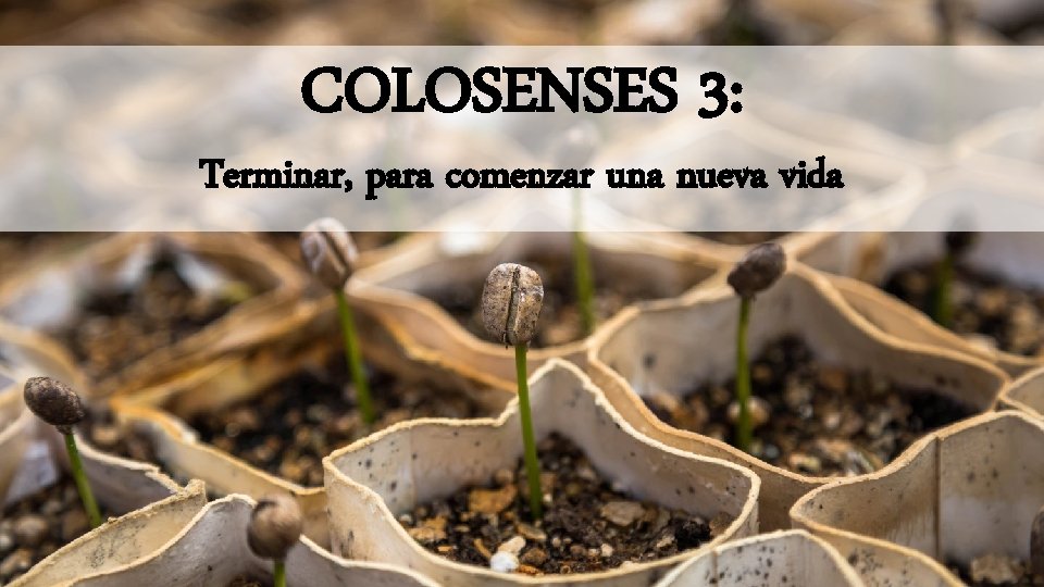 COLOSENSES 3: Terminar, para comenzar una nueva vida COLOSENSES 3: Terminar, para comenzar una nueva vida