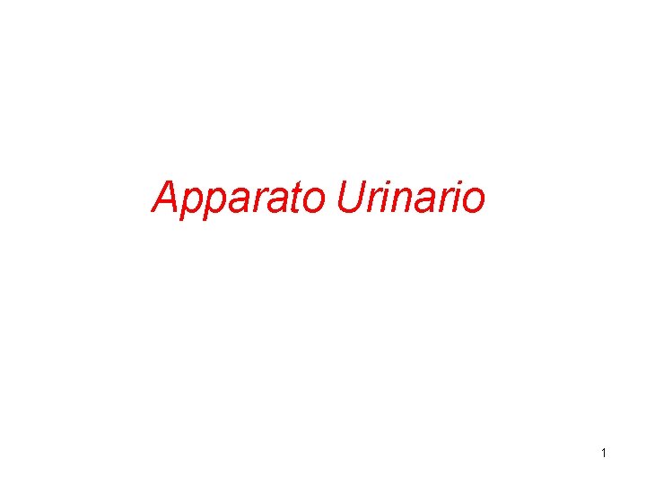 Apparato Urinario 1 