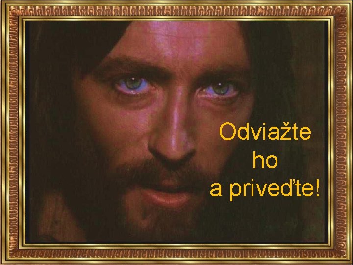 Odviažte ho a priveďte! 