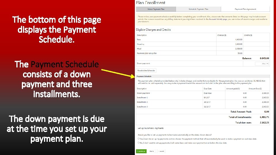 The bottom of this page displays the Payment Schedule. The Payment Schedule consists of