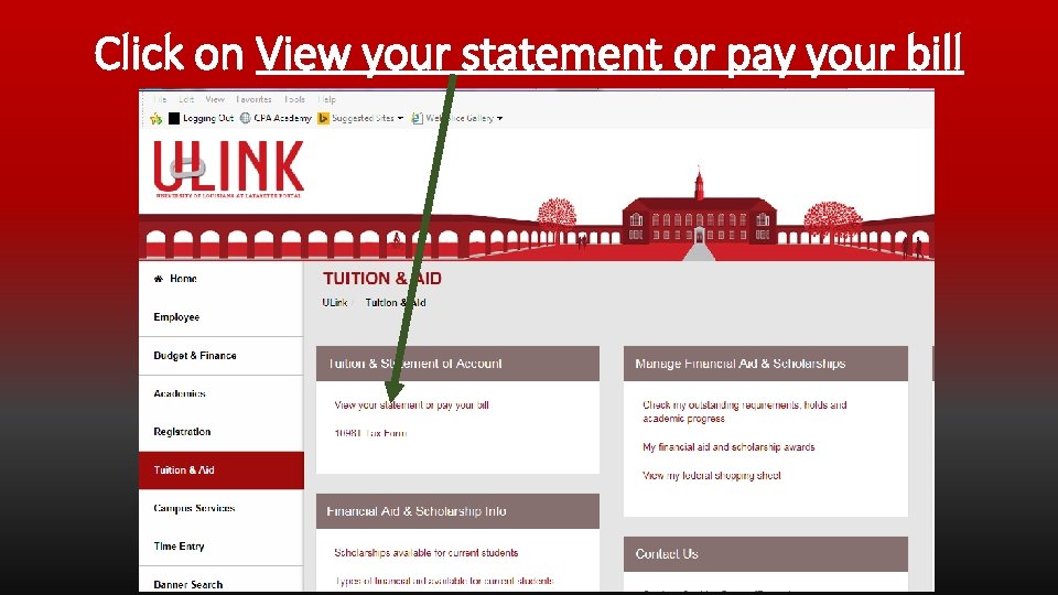 Click on View your statement or pay your bill 