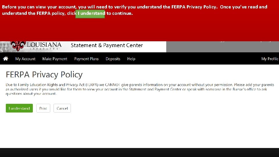 Before you can view your account, you will need to verify you understand the