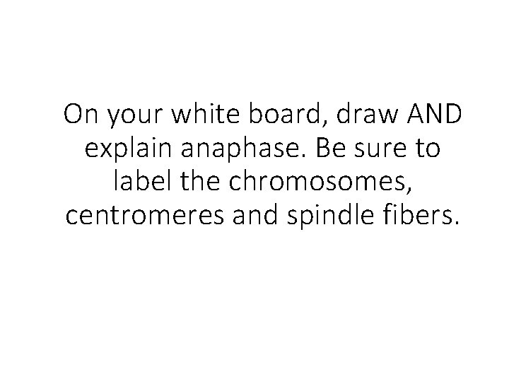 On your white board, draw AND explain anaphase. Be sure to label the chromosomes,
