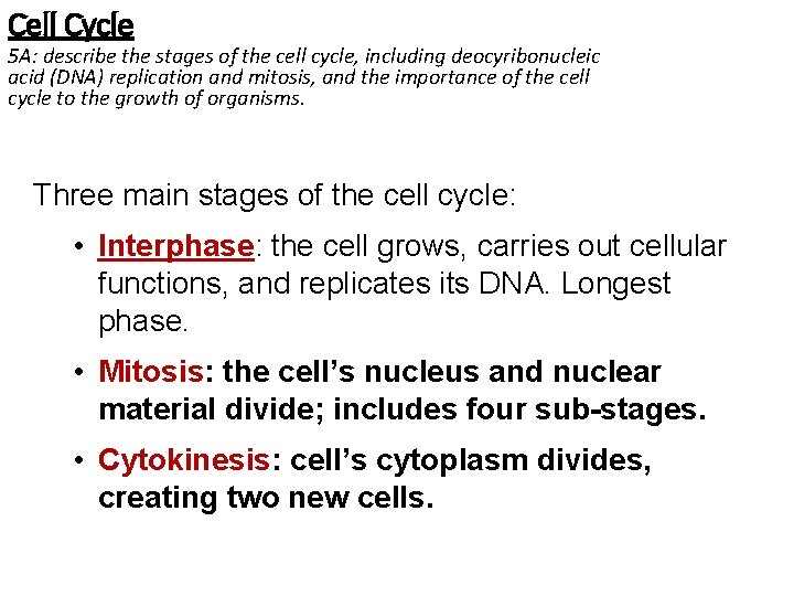 Cell Cycle 5 A: describe the stages of the cell cycle, including deocyribonucleic acid
